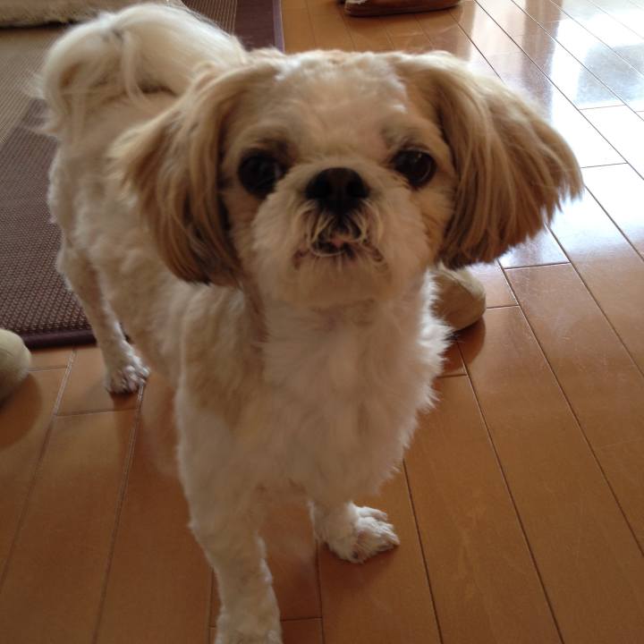 Dbaf6f71 0c72 4727 897b 14a4a34a08c0