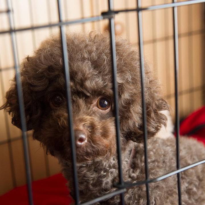 Dbafcbbf 8df5 4184 a9d9 ac609a0e974d