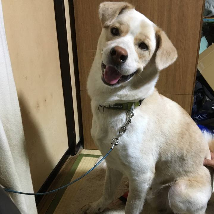 Dbafe934 51f3 4e81 8ab1 f6c58368fedf