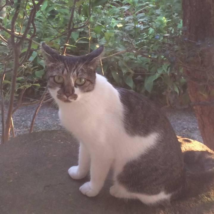 Dbb01a9b 527d 4e85 a5d0 5470778d0b41