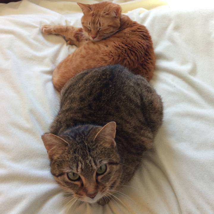 Dbb17181 6458 4ca9 a7c0 de472c3f478b