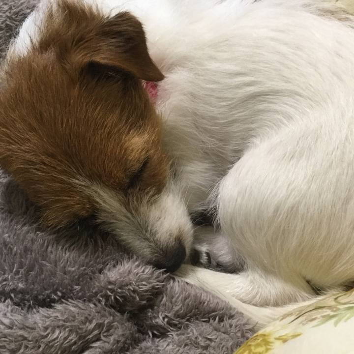 Dbb191fa 28db 40bc b736 cf20cb317d1e