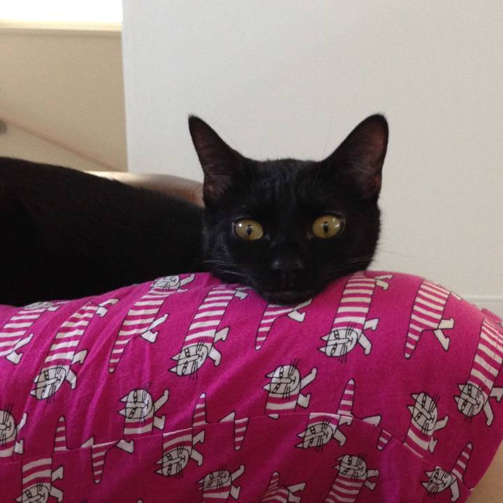 Dbb1942f e64a 4f1d a83a 98245c286a2e