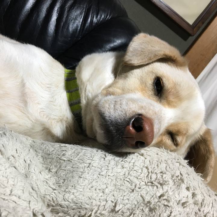 Dbb1b179 56e5 49f1 9f8a fcc732f577a2