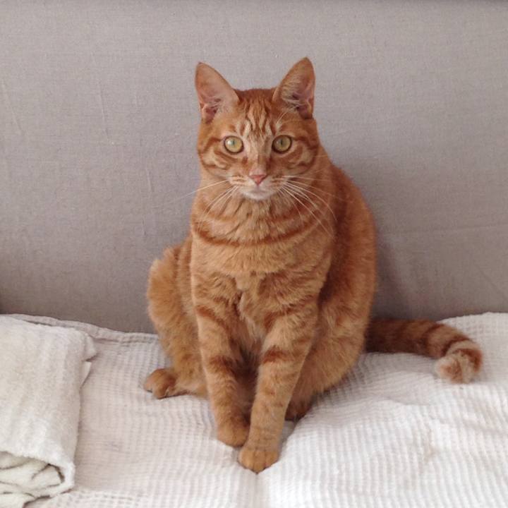 Dbb499aa 309f 4910 91b8 34b7f362f836