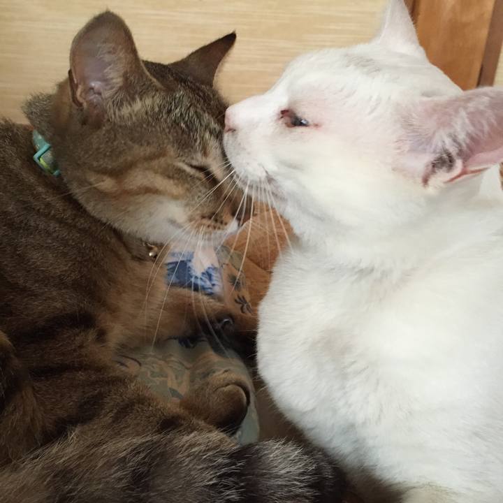 Dbb55b68 afb5 41b8 b6be a30ddd50de6c