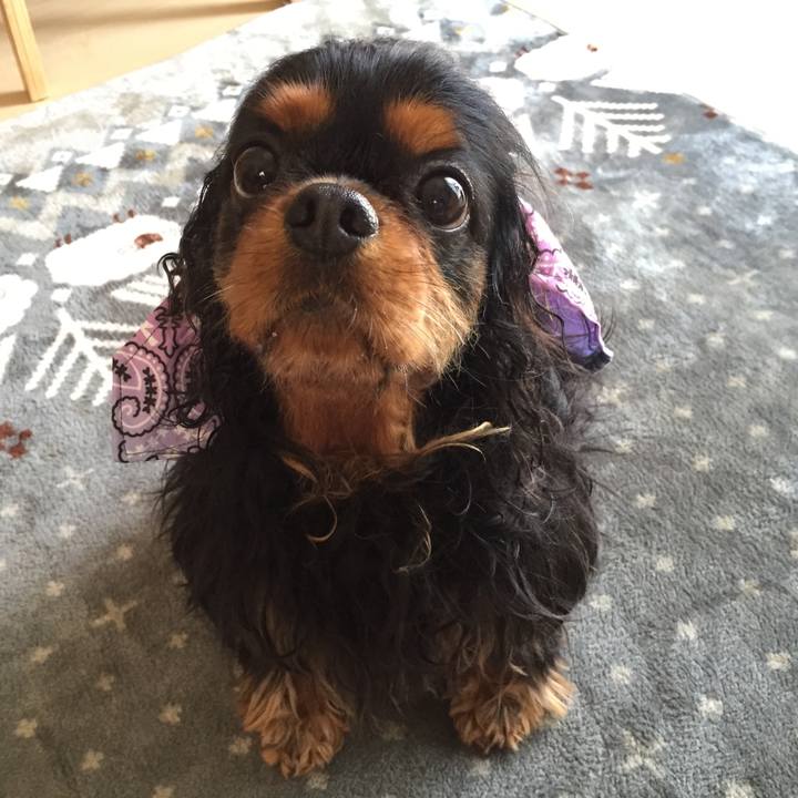 Dbb58540 d82c 48d2 941c e77e23a613d8