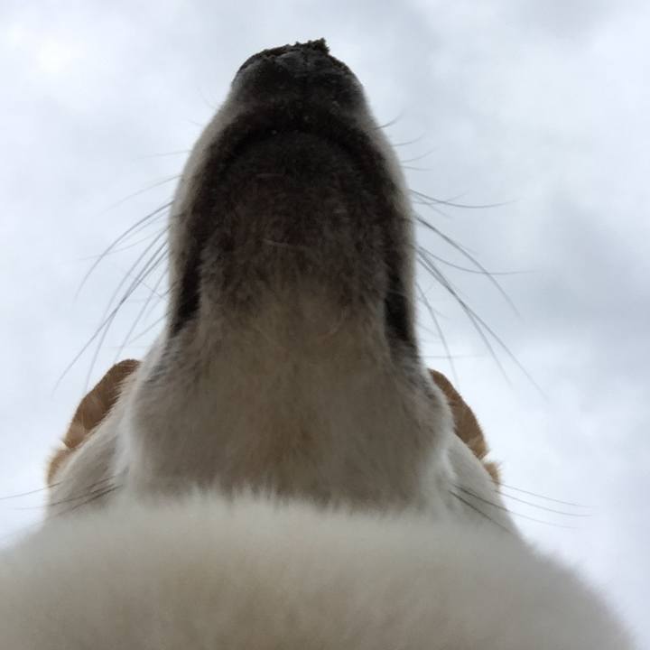 Dbb59736 5d8b 4a10 8631 36585945587d