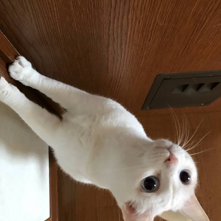 Dbb5ab16 8aba 4ccf bb63 22a8a4ca5d71