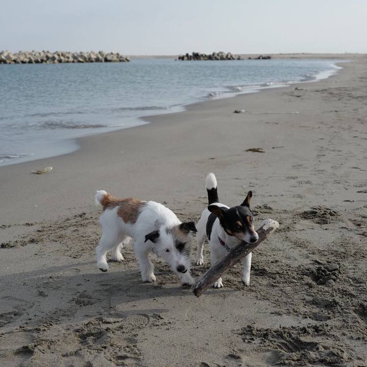 Dbb5f428 b147 4ba1 8308 425029147ce7