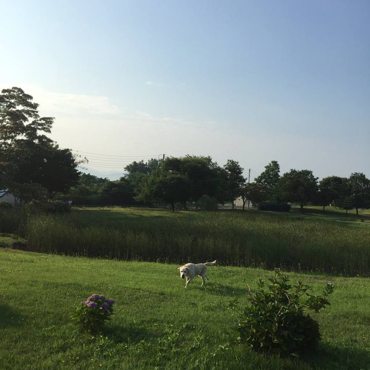 Dbb60024 58f1 4d9e 8256 2a1d832e3d36