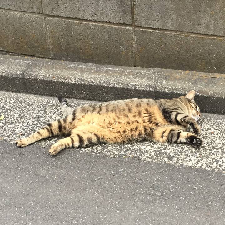 Dbb6345d 8ee2 49e9 9340 7a9b12e38919