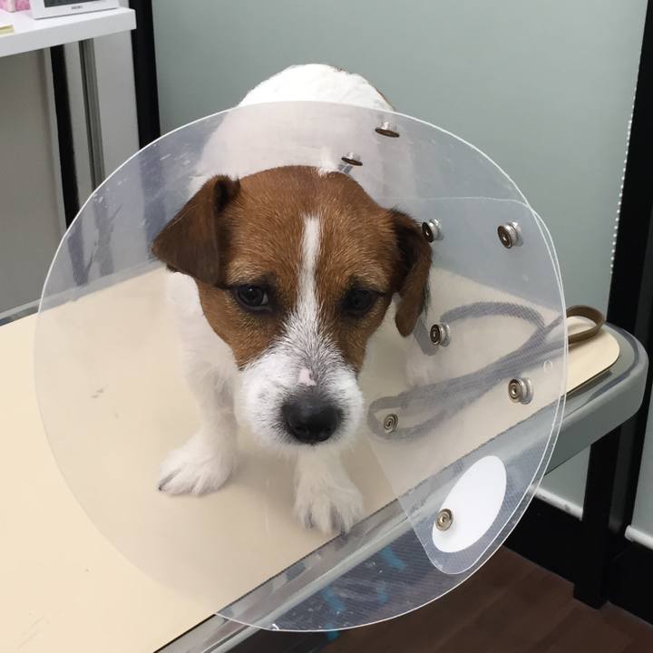 Dbb63933 ffd7 49ba b0e1 3f0332ff2342