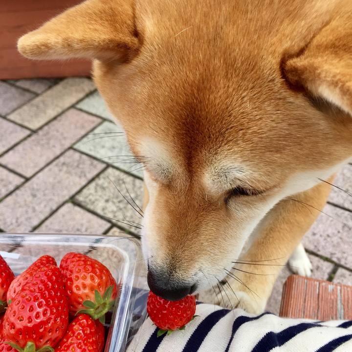 Dbb67de4 603c 403f ac8a da18202fc600