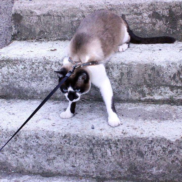 Dbb6fe93 11bb 4852 87fe 3eca7d8d76a0