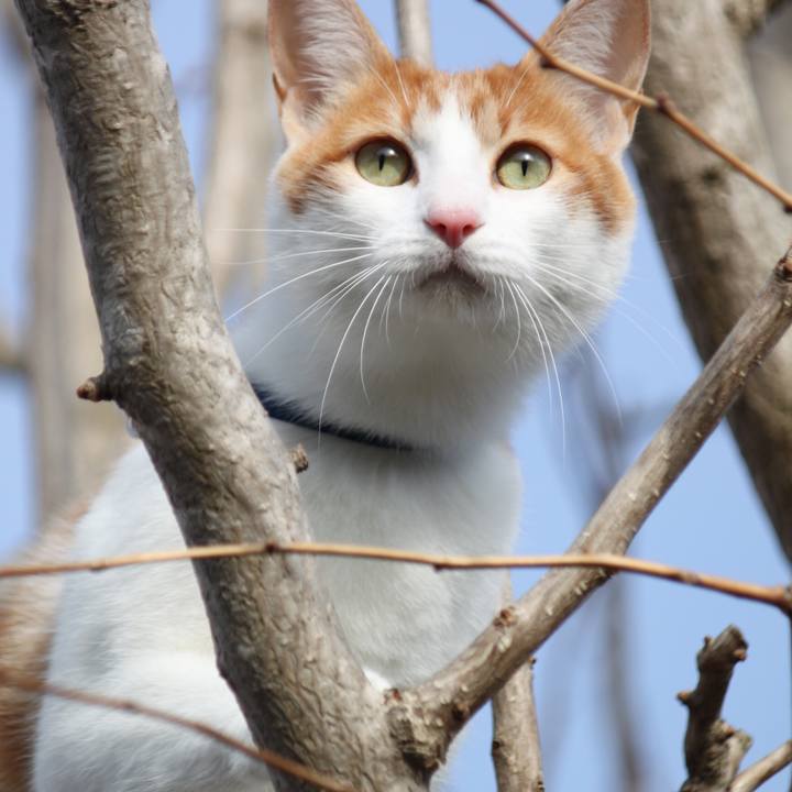 Dbb74ebd 6344 46c5 8a40 d0788c174d70