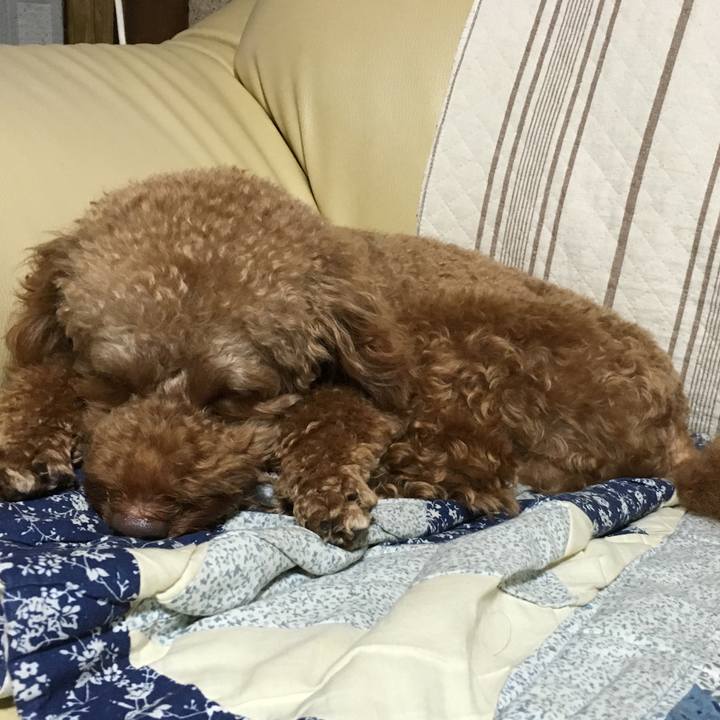 Dbb75e0a d6f3 4670 adde 510e5098b93f