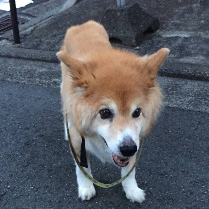 Dbb7e844 d1c8 4560 95c0 b82654f09ff2