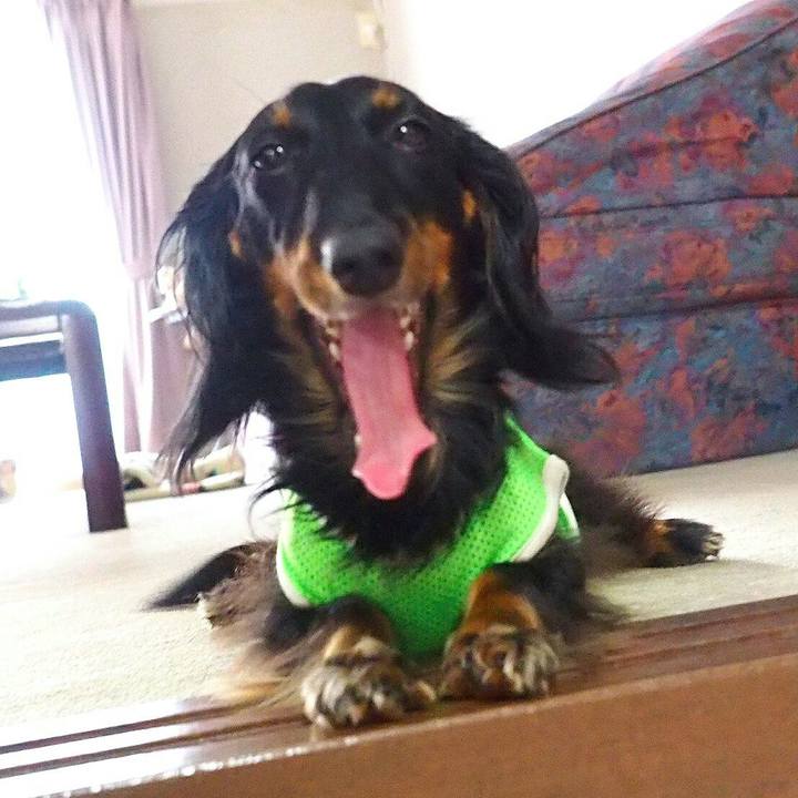 Dbb8517b fe53 4d3e 85d0 b78d0d83ac4d