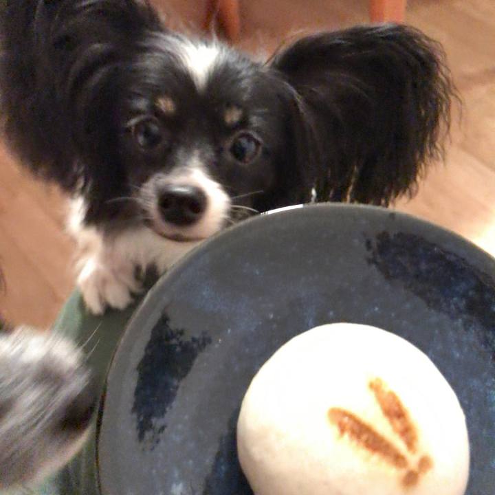 Dbb87369 fe76 44fe b263 489249e5154b