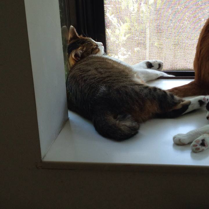 Dbb91723 2561 414b 9aae f1e94765d29b