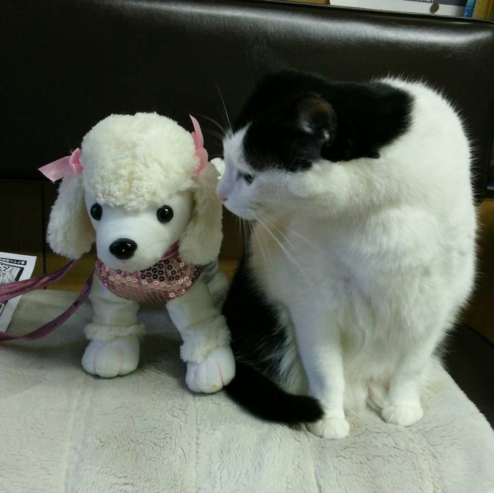 Dbb9aa01 be22 4be1 a6ee 0d34f1720506