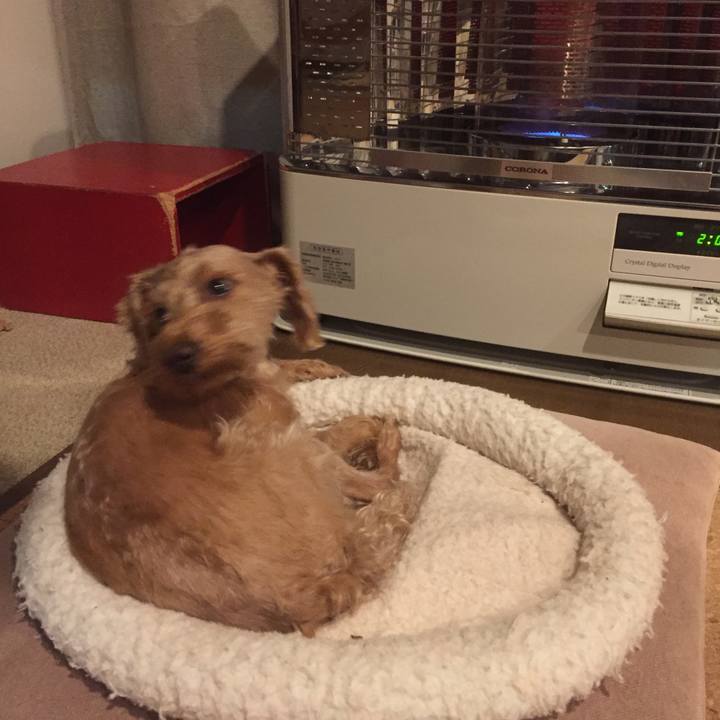 Dbb9ac1e 3901 444e 8b16 9017daee9cda