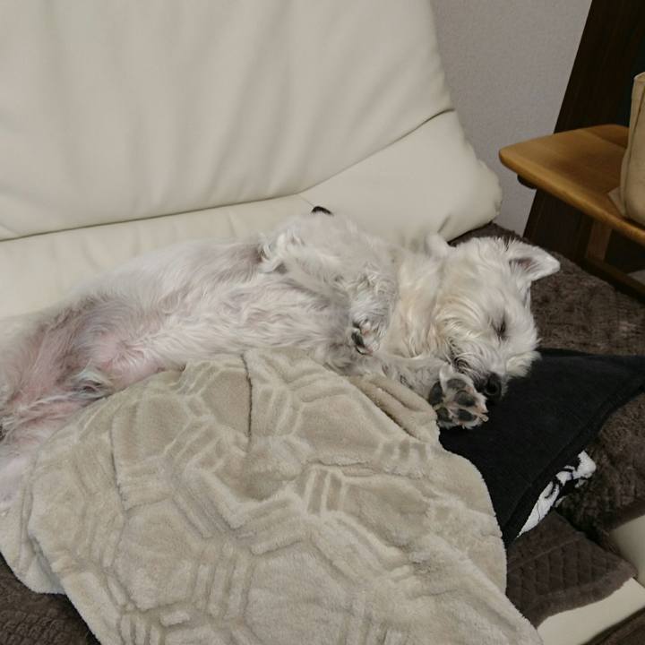 Dbbac7e7 f061 4acd 8653 9aaff2a24e93