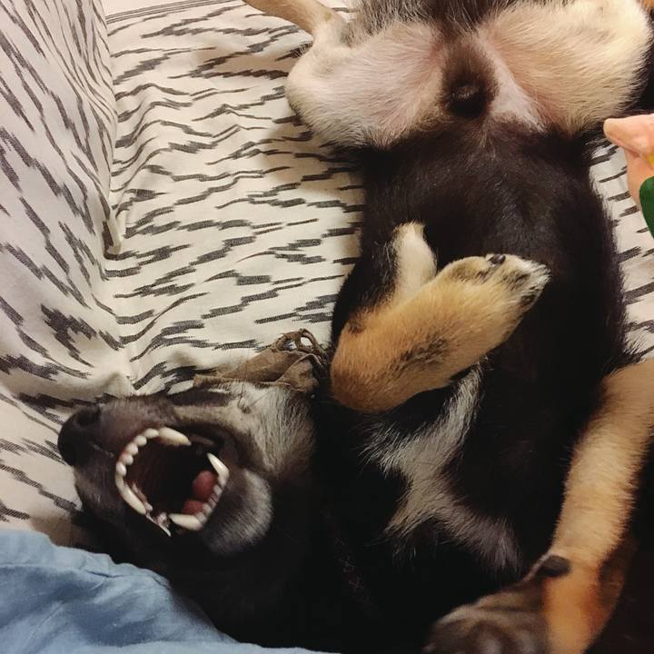 Dbbb2cbd 0293 4f06 81a9 48d698cce963