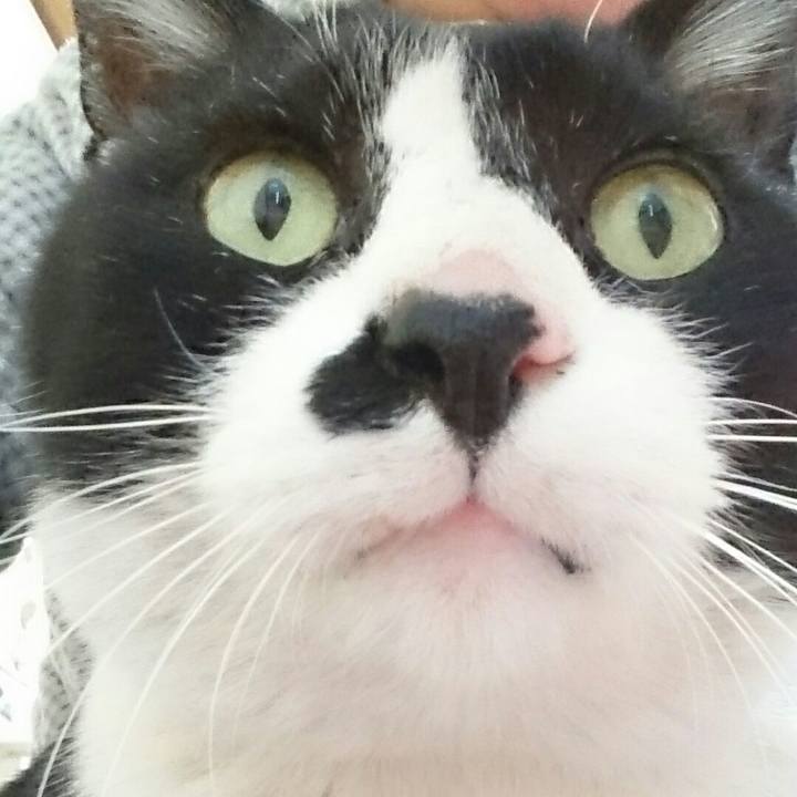 Dbbb2fab 1590 43d6 9d64 07c95e9596fa