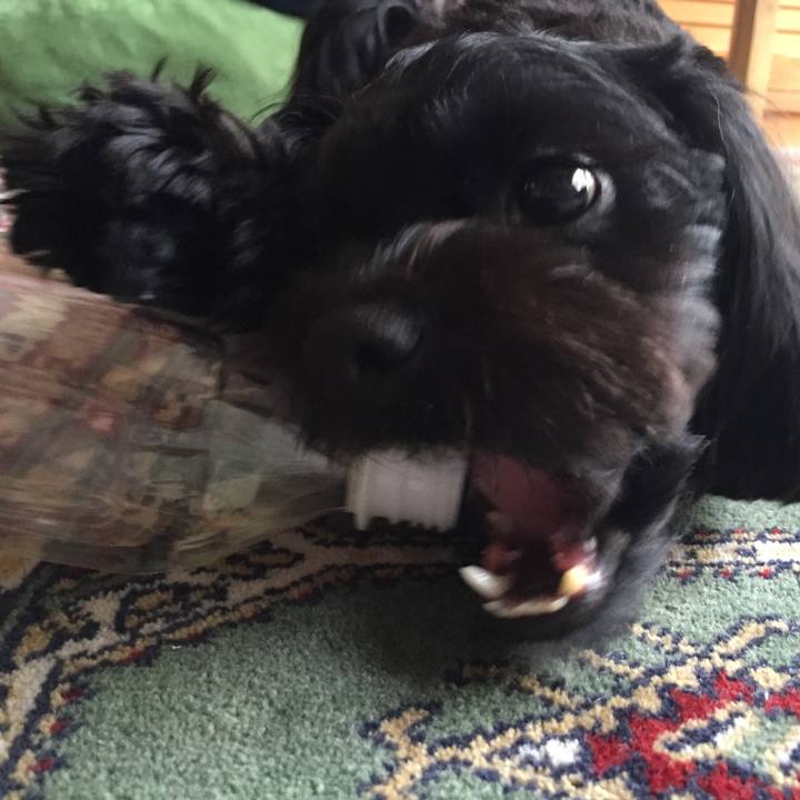 Dbbc420e 4082 468b 87af 28f79f7a01c3