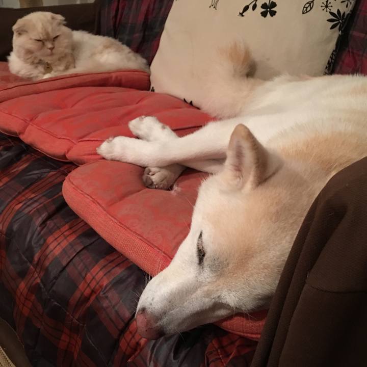 Dbbc4e9e a770 4426 b334 b734e79143ce