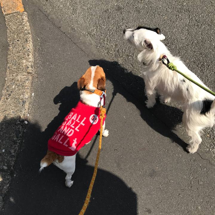 Dbbca22d 5a4d 4f39 aedc 4578ccc7ab37