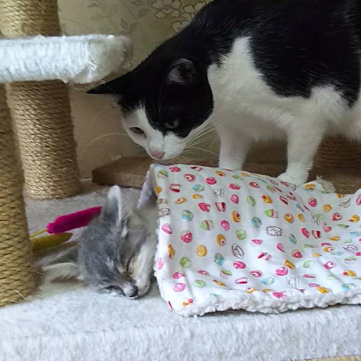 Dbbca85e 196b 4635 80af 2ccf6b2b798c