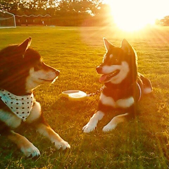 Dbbe4213 9b36 49cf 8677 3375a7610a30