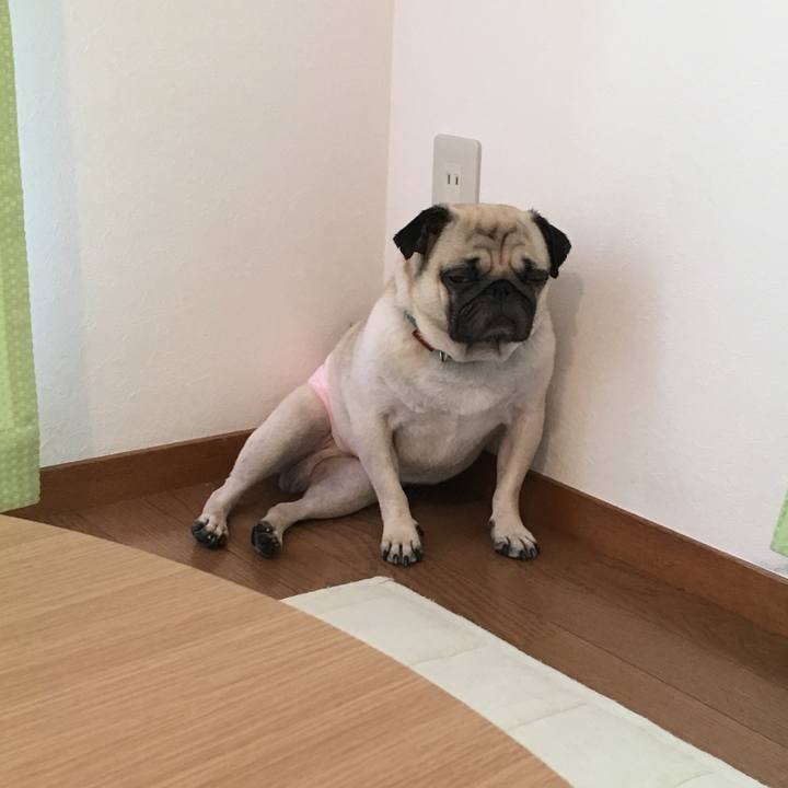 Dbbe46c3 1637 45d3 a998 15e9fe91d1a0