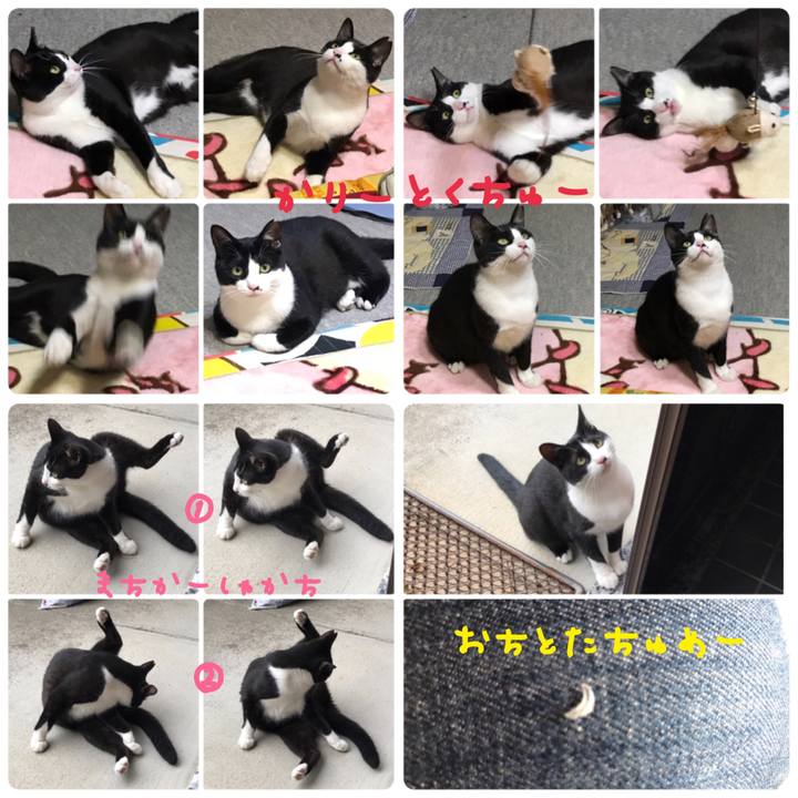 Dbbe7ee7 7c38 4307 9c45 4d82334d550c