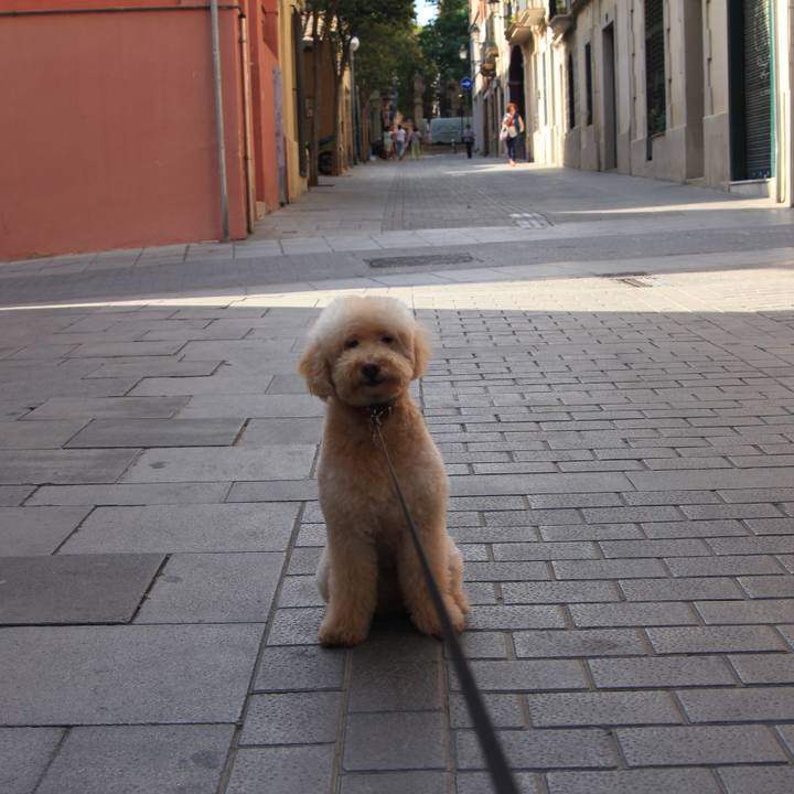 Dbbe8d89 fe32 4e85 98f4 454670982d90