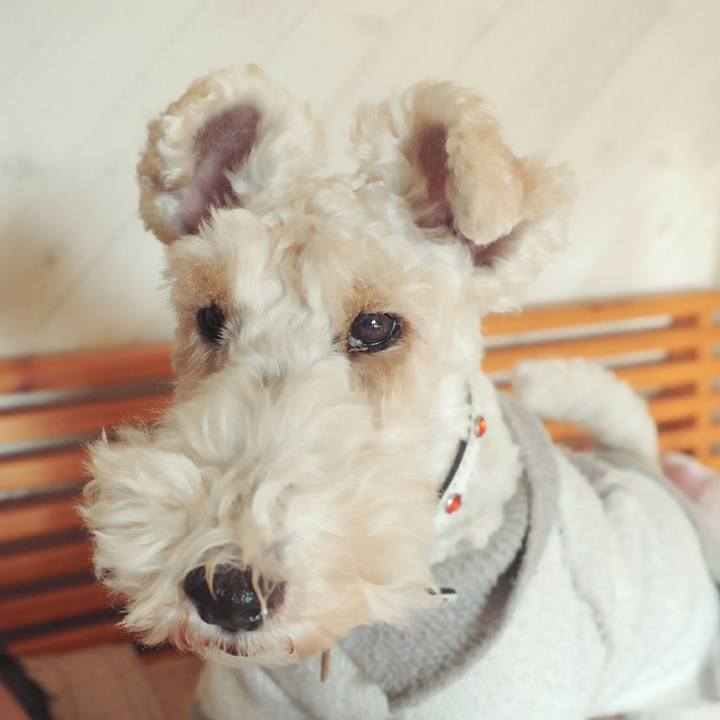 Dbbee67f cb3e 41ef bc44 b9438caa586b