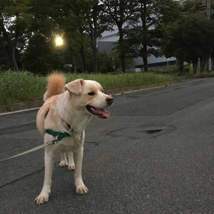 Dbbf6640 c6a2 4a04 a3f5 f7a3d05b2a88