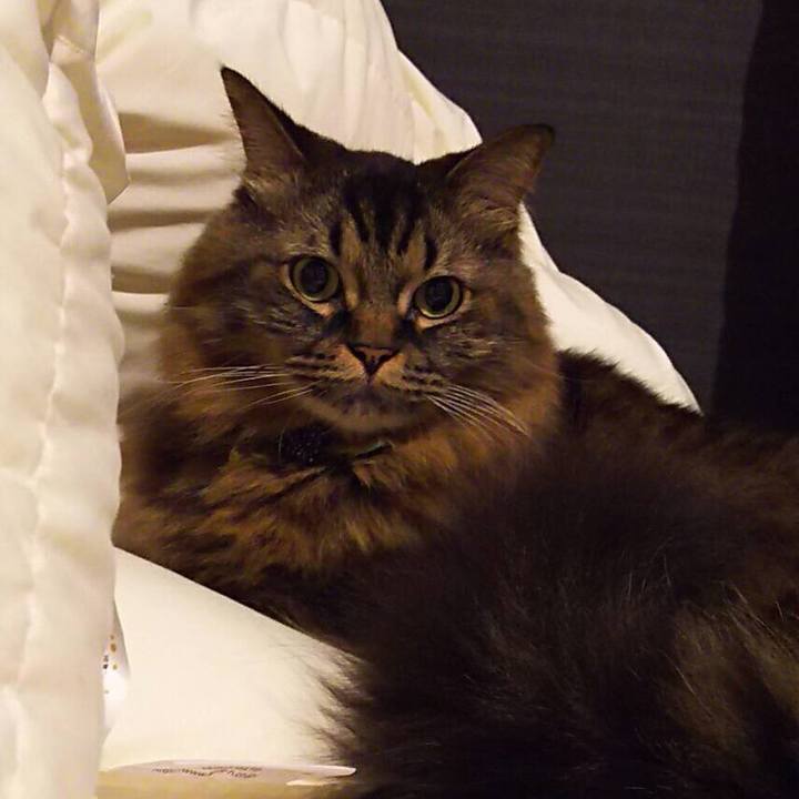 Dbbf76b1 c8f7 4299 838f c029f686f08d