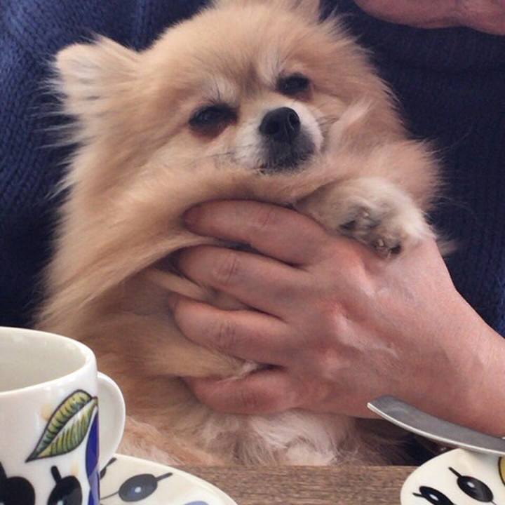 Dbc04a59 9e76 4c26 8760 2d30b9170e2c