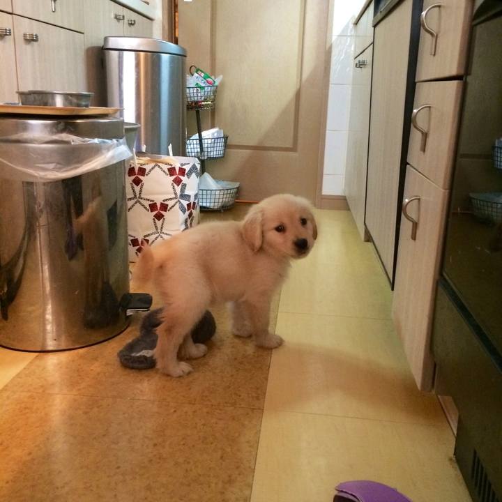 Dbc059d2 4ba3 4ff3 95aa c3f2e430a282