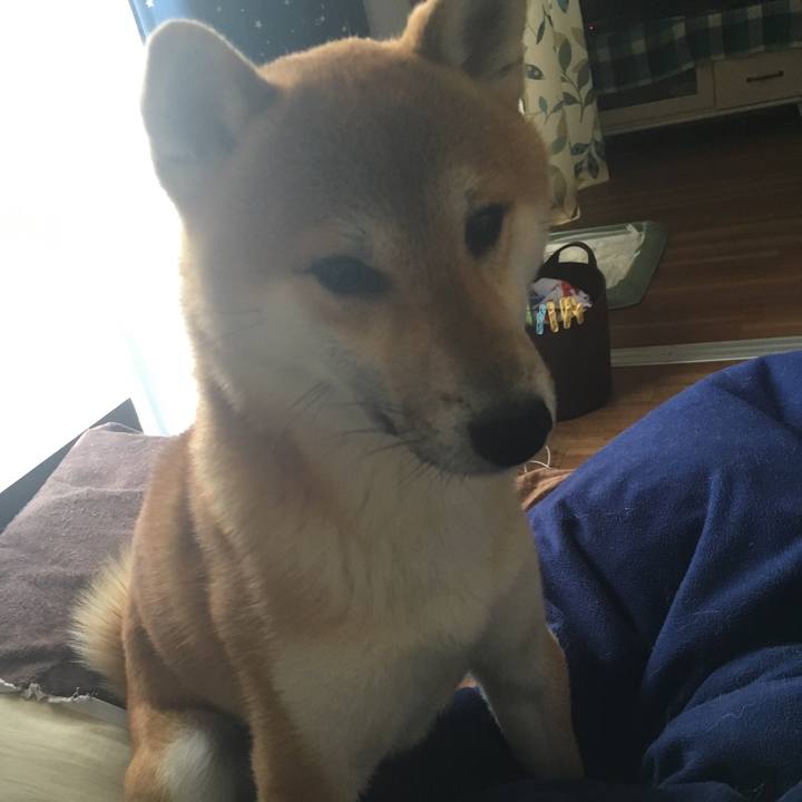 Dbc05b7e b776 4bf0 b551 8849744749a2