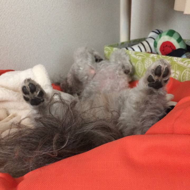 Dbc08e6f 05db 4b5b 92c6 dbc1d73b9418