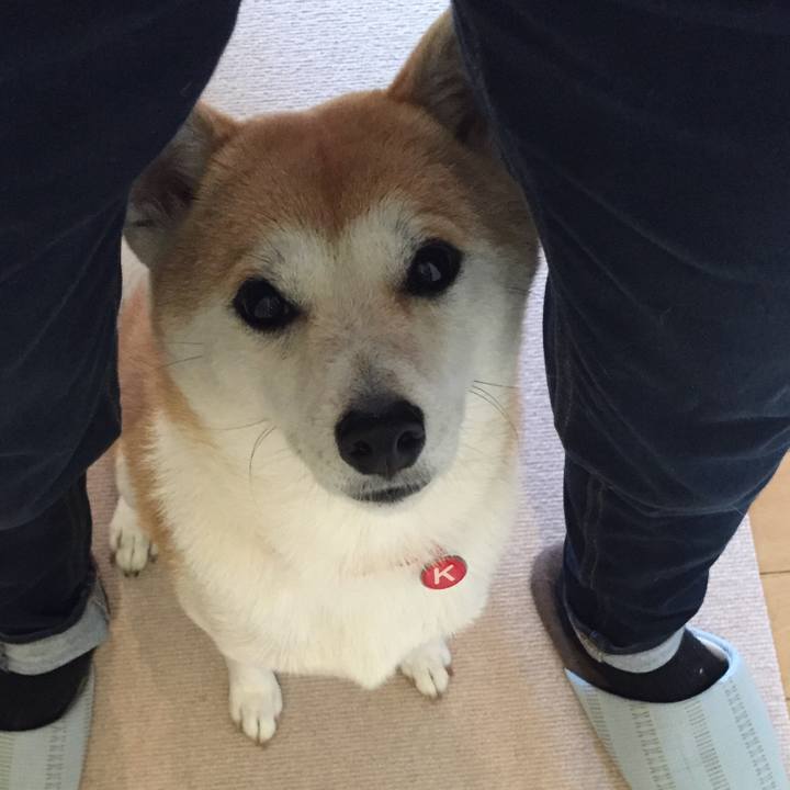 Dbc0fd03 39f6 4891 baa8 9368c57a6926