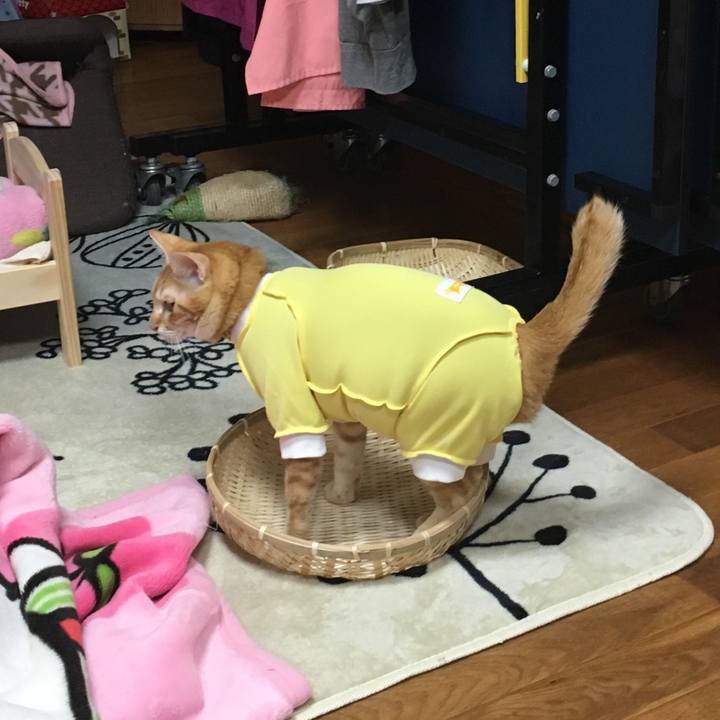 Dbc1b56a baab 4d95 8f9b 22a1c881aef1