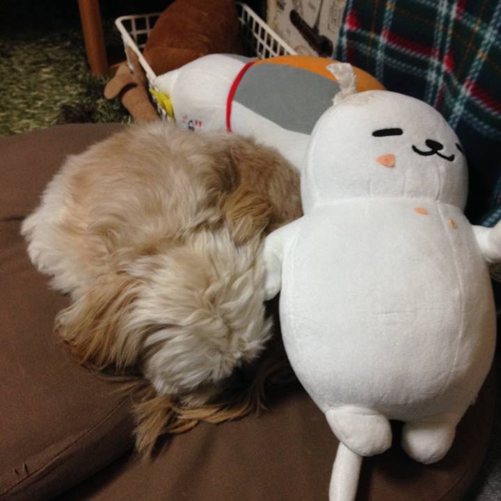 Dbc22ec0 0660 4cb9 8e82 63ccf1bc97e1