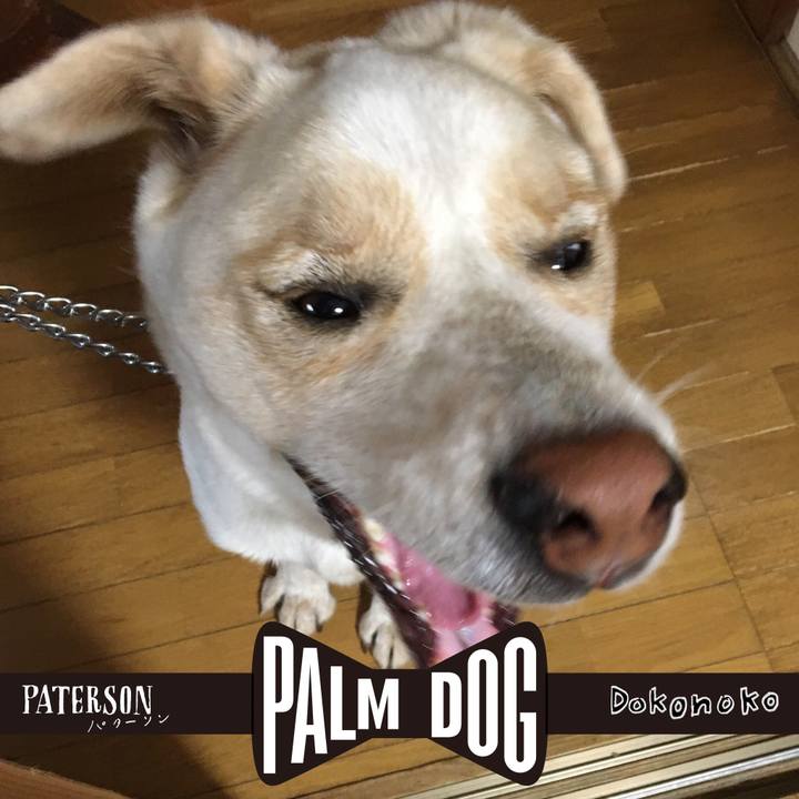 Dbc38279 6ec8 40ec ba1f cc48f805169a