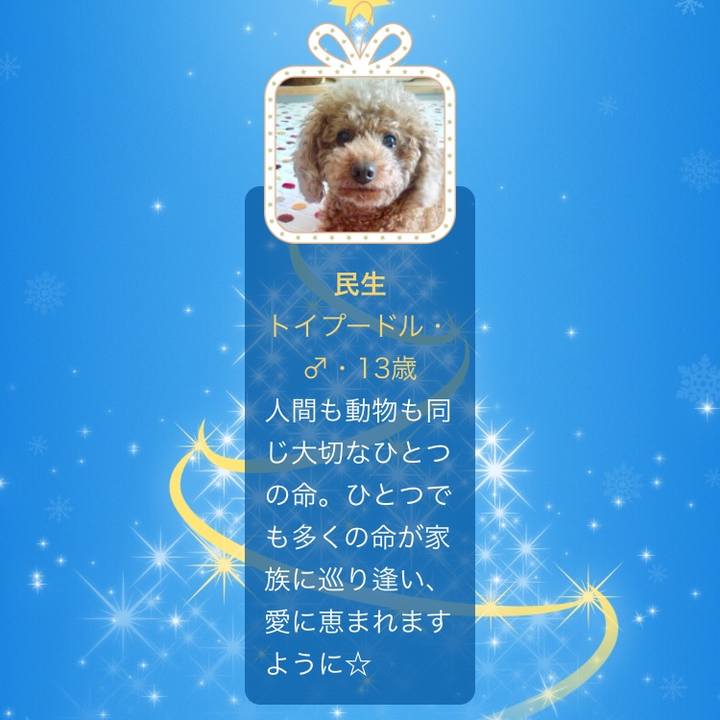 Dbc38745 e94c 44ea 8c3c 6a7872457137